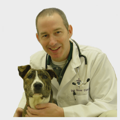 Don Hoover, DVM, FAVD